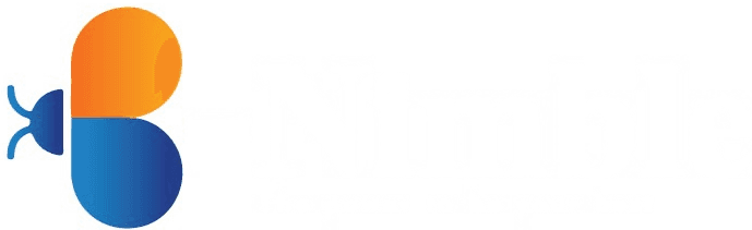 B-Nimble Media